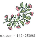 Pink Bohemian Floral Branch Plant Motif 142425098