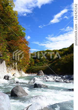 Kinugawa River, Nikko City, Tochigi Prefecture. On a clear autumn day, the rapids lick the white riverbed beneath the autumn leaves. Kinugawa River, Nikko City, Tochigi Prefecture. On a clear autumn day, the rapids lick the white riverbed beneath the autumn leaves. 142425142