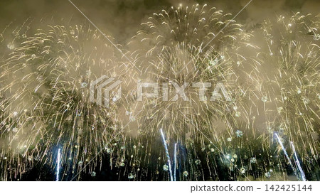 Nagaoka fireworks dancing in the night sky Nagaoka fireworks dancing in the night sky 142425144