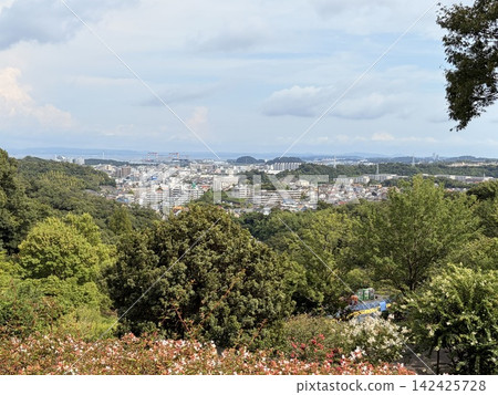 從金澤自然公園可以欣賞到金澤文庫的壯麗景色。 從金澤自然公園可以欣賞到金澤文庫的壯麗景色。 142425728