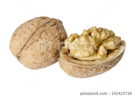 Pair of walnuts on the white background close up Pair of walnuts on the white background close up 142425730