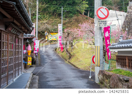 Tsukigase Plum Grove, near the entrance (Nara City, Nara Prefecture) Tsukigase Plum Grove, near the entrance (Nara City, Nara Prefecture) 142425831