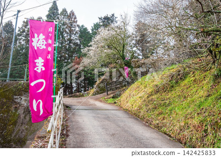 前往月瀨梅林和梅谷的步行道(奈良縣奈良市) 前往月瀨梅林和梅谷的步行道(奈良縣奈良市) 142425833