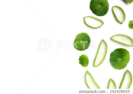 Fresh aloe vera slices and gotu kola leaves on a white background. Fresh aloe vera slices and gotu kola leaves on a white background. 142426035