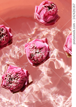 Thai-style folded pink lotus flowers floating in clear rippling water. Thai-style folded pink lotus flowers floating in clear rippling water. 142426167