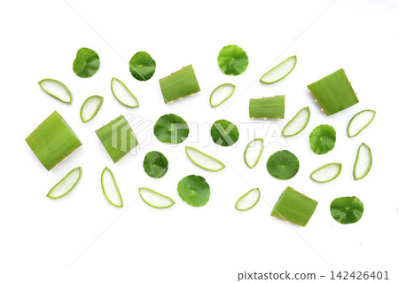 Fresh aloe vera slices and gotu kola leaves flat lay pattern on a white background. 142426401