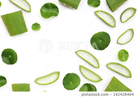 Fresh aloe vera slices and gotu kola leaves flat lay pattern on a white background. Fresh aloe vera slices and gotu kola leaves flat lay pattern on a white background. 142426404