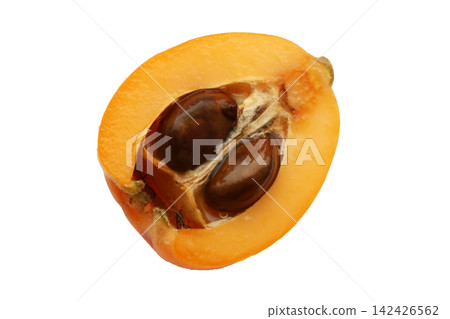 Loquat fruits on white background. Loquat fruits on white background. 142426562