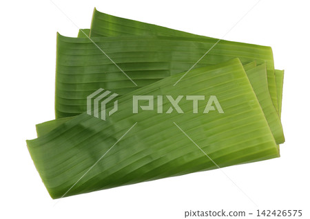 Fresh green banana leaves isolated on a white background. Fresh green banana leaves isolated on a white background. 142426575