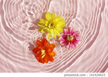 Zinnia blossoms floating on blue water with sunlight reflections. Zinnia blossoms floating on blue water with sunlight reflections. 142426625