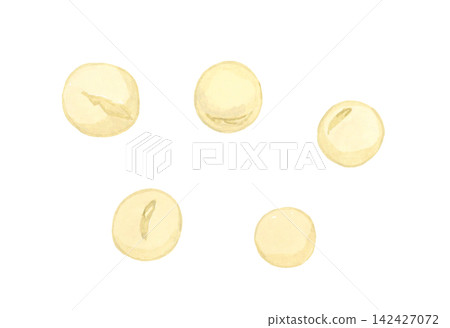 生大豆套裝 - 手繪水彩插畫素材 生大豆套裝 - 手繪水彩插畫素材 142427072