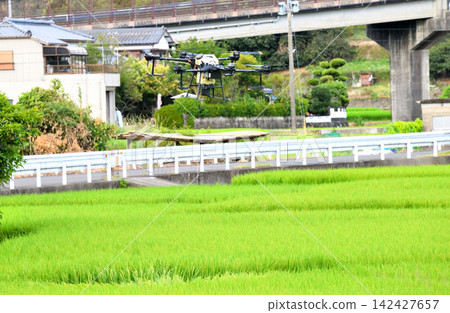 無人機噴灑農藥 無人機噴灑農藥 142427657