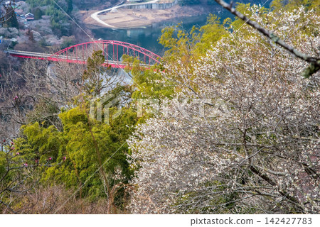 月瀨梅林(奈良縣奈良市) 月瀨梅林(奈良縣奈良市) 142427783