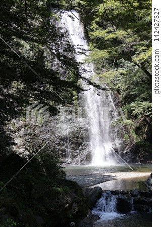 山區景觀,綠樹成蔭,岩石峭壁聳立,瀑布飛流,水潭潺潺。 山區景觀,綠樹成蔭,岩石峭壁聳立,瀑布飛流,水潭潺潺。 142427827