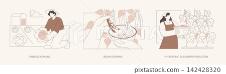 Growing vegetables isolated cartoon vector illustrations se Growing vegetables isolated cartoon vector illustrations se 142428320