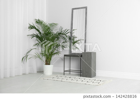 Modern interior with large mirror and beautiful plant near white wall Modern interior with large mirror and beautiful plant near white wall 142428816