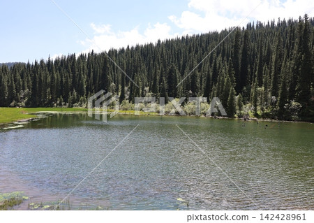 Mountain Lake Surrounded by Schrenk Spruce Forest in the Tien Shan Mountains of Kyrgyzstan Mountain Lake Surrounded by Schrenk Spruce Forest in the Tien Shan Mountains of Kyrgyzstan 142428961