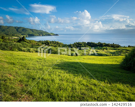 The beautiful summer scenery of Ishigaki Island, with its ocean and lush green grasslands. The beautiful summer scenery of Ishigaki Island, with its ocean and lush green grasslands. 142429516