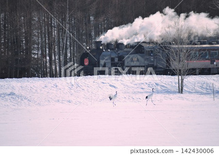 北海道加山站，雪原上的丹頂鶴和冒著白煙的蒸汽機車“冬季沼澤列車”。 142430006