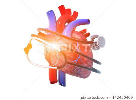 Human Heart With Stethoscope Human Heart With Stethoscope 142430409