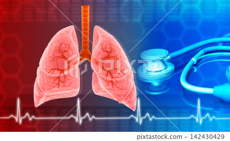 Human Lungs with Stethoscope Human Lungs with Stethoscope 142430429