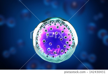 Human cells. Cell background 142430431