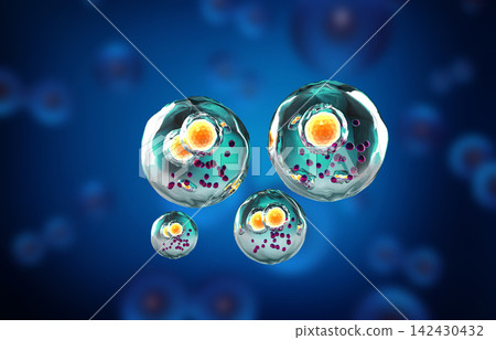 Human cells. Cell background 142430432