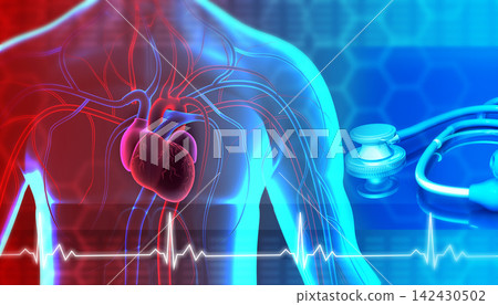Heart in transparent human body Heart in transparent human body 142430502