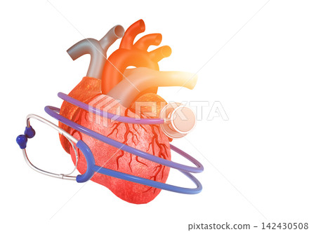 Human Heart With Stethoscope 142430508