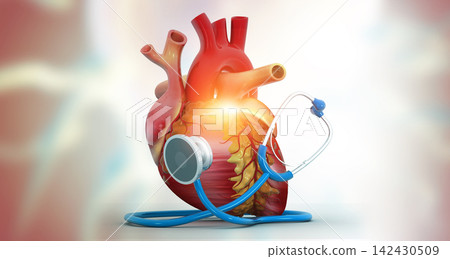 Human Heart With Stethoscope 142430509