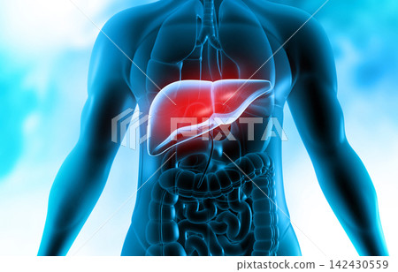 Man with liver on medical background 142430559