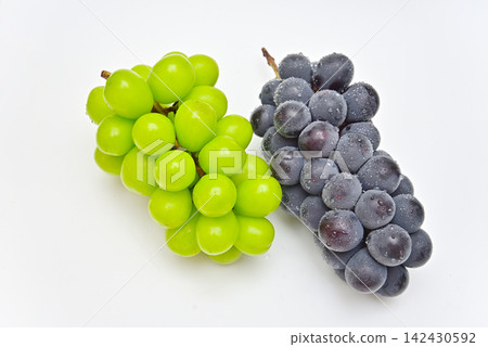 巨峰和Shine Muscat 巨峰和Shine Muscat 142430592
