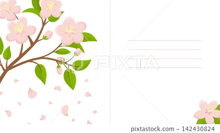 Apple tree blooming branch. Cover, postcard, diploma template design with cherry or peach pink flowers. Floral background design with space for text, vector element 142430824