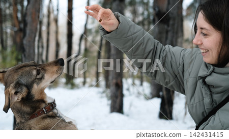 A young woman walks through a winter pine forest with her dog 142431415