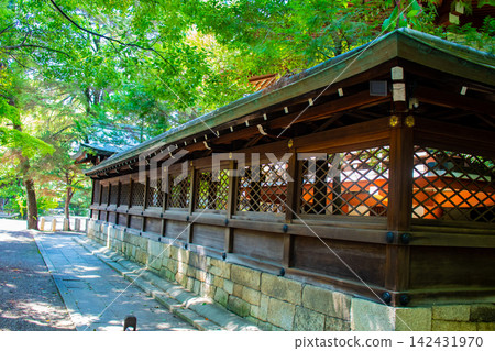 The blessings of Goryo Shrine and Goryo no Mori: Calmness of mind, healing from illness, protection from evil and good fortune, and safety of the family. The blessings of Goryo Shrine and Goryo no Mori: Calmness of mind, healing from illness, protection from evil and good fortune, and safety of the family. 142431970