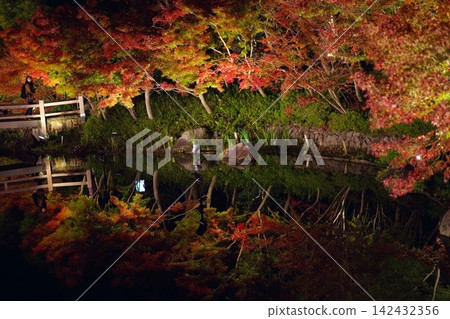 秋日景色倒映在池塘中,夜晚燈光照亮了秋葉。 秋日景色倒映在池塘中,夜晚燈光照亮了秋葉。 142432356