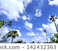 Palm trees in a tropical paradise with a blue sky and white clouds. 142432363