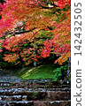 Stone steps and autumn leaves bathed in autumn colors. 142432505