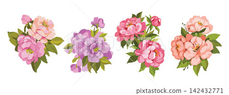 Flower oil painting set, hand drawn pink peony illustration, gouache brush stroke texture rose print Flower oil painting set, hand drawn pink peony illustration, gouache brush stroke texture rose print 142432771