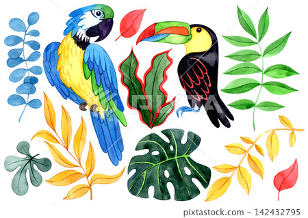 colorful set of elements tropical plant leaves and birds. Watercolor illustration. colorful set of elements tropical plant leaves and birds. Watercolor illustration. 142432795