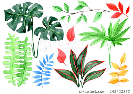 colorful set of tropical plant leaves. Watercolor illustration. colorful set of tropical plant leaves. Watercolor illustration. 142432877