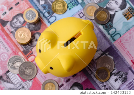 A piggy bank as a concept for storing, accumulating, and saving financial resources. A piggy bank 142433133