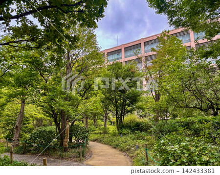 Lush urban gardens adjacent to the building Lush urban gardens adjacent to the building 142433381
