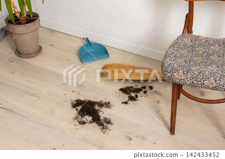 A person gets a haircut at home, leaving hair clippings on the floor. A broom and dustpan sit nearby next to a chair and a plant in a pot A person gets a haircut at home, leaving hair clippings on the floor. A broom and dustpan sit nearby next to a chair and a plant in a pot 142433452