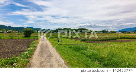 The path from the Daikandaiji Temple ruins to the Ishigami ruins; Ishigami ruins, Raikyu, and Amakashioka; May 23, 2026 The path from the Daikandaiji Temple ruins to the Ishigami ruins; Ishigami ruins, Raikyu, and Amakashioka; May 23, 2026 142433774