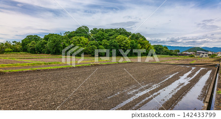 2026 年 5 月 23 日，從橛原市木之本町出發，前往木寺遺址（小山廢棄寺廟遺址）以北的森林和大和三山之一的宇野比山。 142433799
