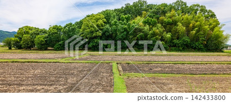 2026年5月23日,從橛原市木之本町別所巴士站出發,前往木寺遺址(小山廢棄寺廟遺址)北側的森林。 2026年5月23日,從橛原市木之本町別所巴士站出發,前往木寺遺址(小山廢棄寺廟遺址)北側的森林。 142433800