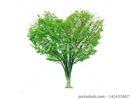 Trees for use in architectural perspectives and elevations - A giant zelkova tree that looks like a heart - Vector illustration Trees for use in architectural perspectives and elevations - A giant zelkova tree that looks like a heart - Vector illustration 142433967