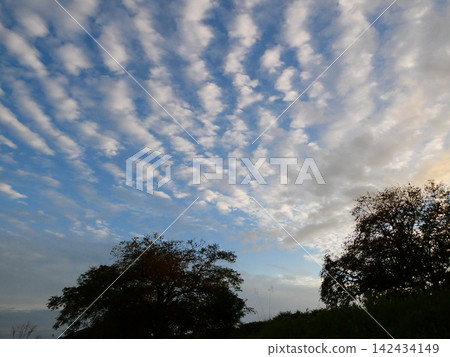 The cirrocumulus clouds (also known as mackerel clouds or cirrus clouds) over the English coast in Hanamaki City, Iwate Prefecture, were named by Kenji Miyazawa. 142434149