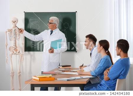 Medical students and professor studying human skeleton anatomy in classroom Medical students and professor studying human skeleton anatomy in classroom 142434180